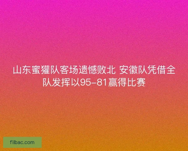 山东蜜獾队客场遗憾败北 安徽队凭借全队发挥以95-81赢得比赛